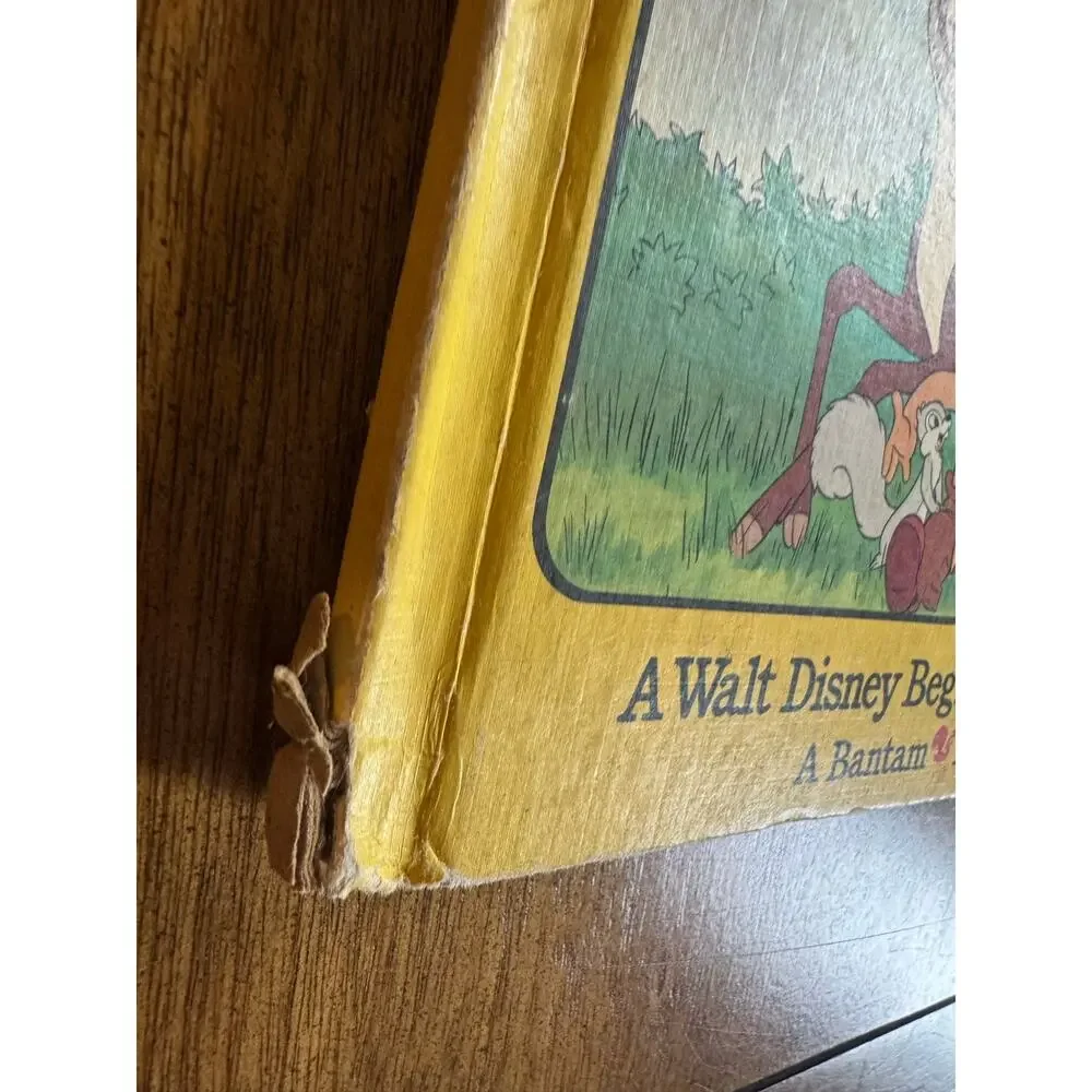 Vintage 1986 Walt Disney Hiawatha's Kind Heart Fun-to-Read Library Vol 15